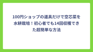 100円ショップの道具だけで空芯菜を水耕栽培！初心者でも14回収穫できた超簡単な方法