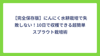 【完全保存版】にんにく水耕栽培で失敗しない！10日で収穫できる超簡単スプラウト栽培術