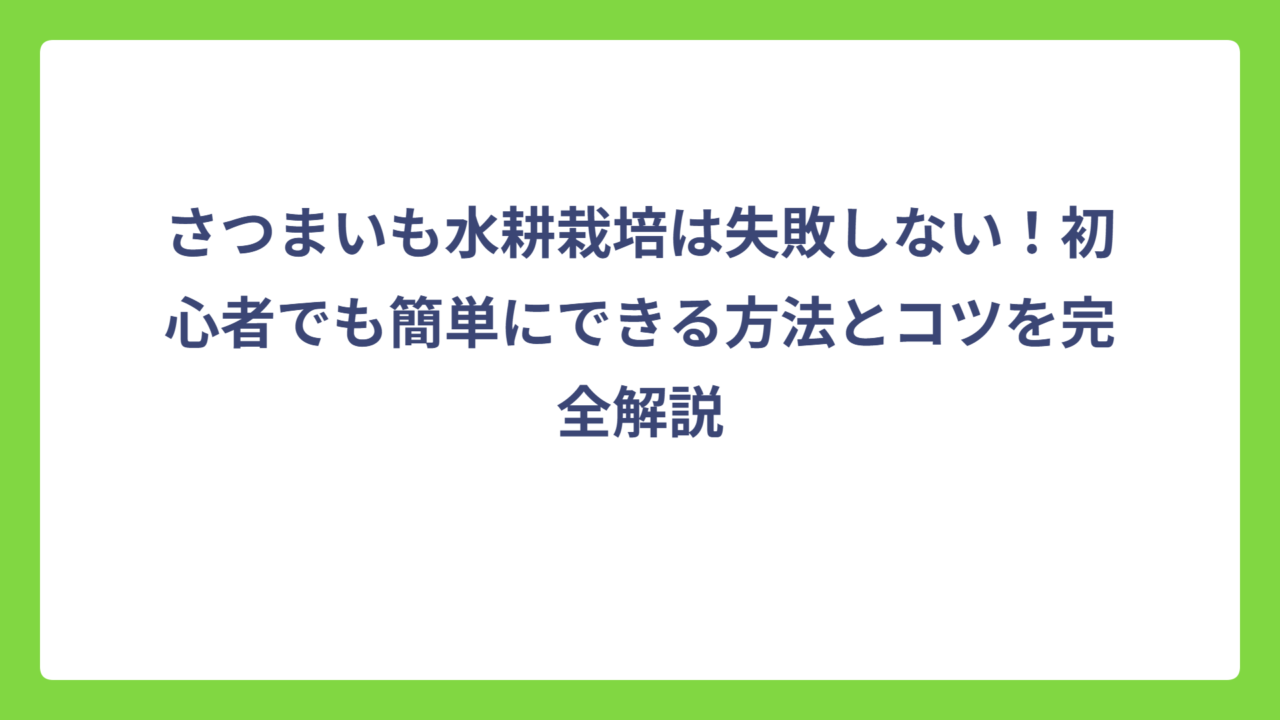 さつまいも水耕栽培は失敗しない！初心者でも簡単にできる方法とコツを完全解説