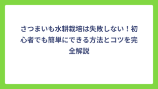 さつまいも水耕栽培は失敗しない！初心者でも簡単にできる方法とコツを完全解説