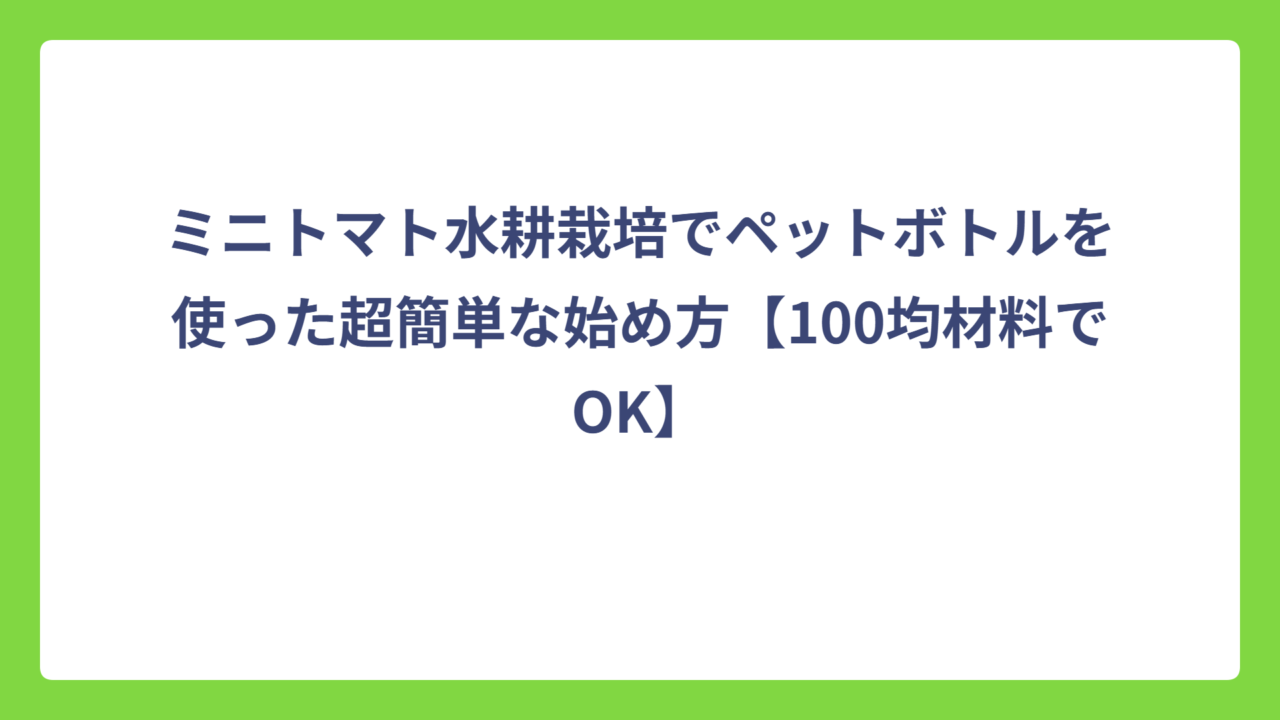 ミニトマト水耕栽培でペットボトルを使った超簡単な始め方【100均材料でOK】