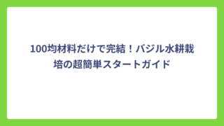 100均材料だけで完結！バジル水耕栽培の超簡単スタートガイド