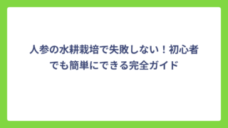 人参の水耕栽培で失敗しない！初心者でも簡単にできる完全ガイド