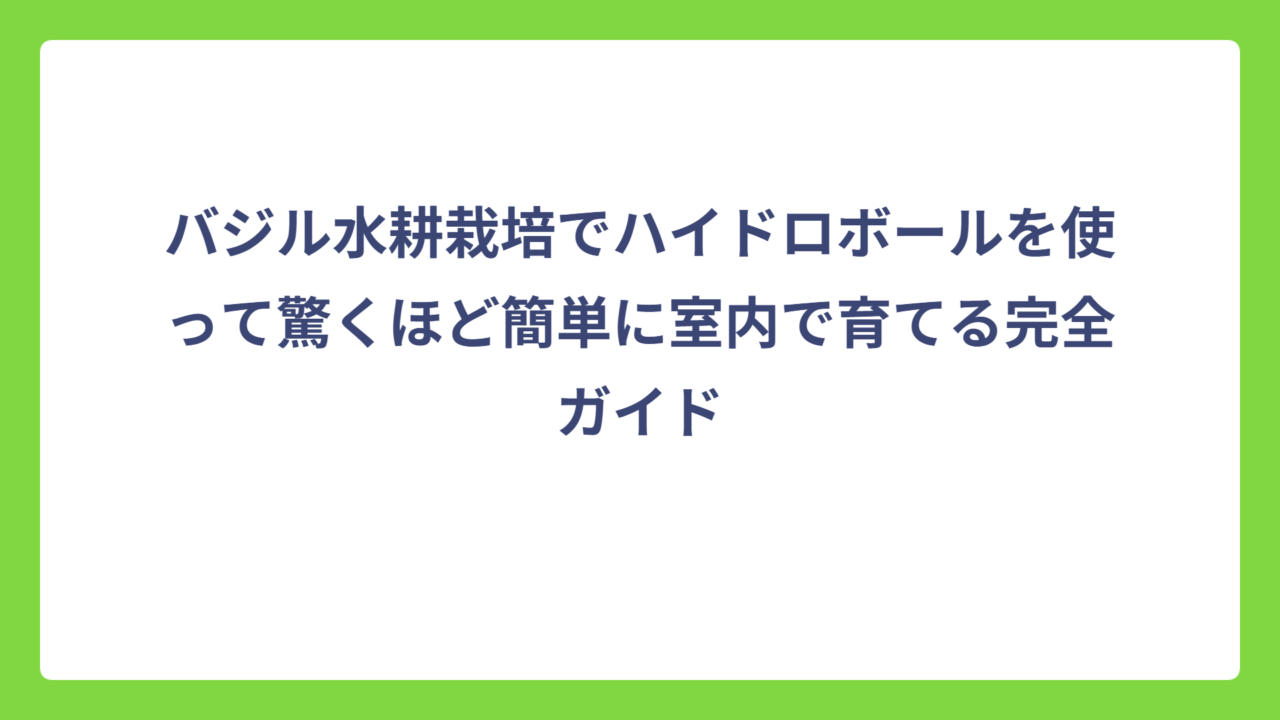 バジル水耕栽培でハイドロボールを使って驚くほど簡単に室内で育てる完全ガイド