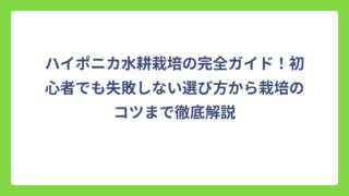 ハイポニカ水耕栽培の完全ガイド！初心者でも失敗しない選び方から栽培のコツまで徹底解説