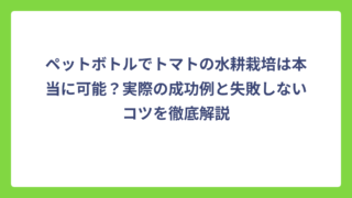 ペットボトルでトマトの水耕栽培は本当に可能？実際の成功例と失敗しないコツを徹底解説