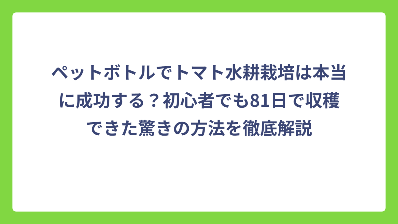 ペットボトルでトマト水耕栽培は本当に成功する？初心者でも81日で収穫できた驚きの方法を徹底解説
