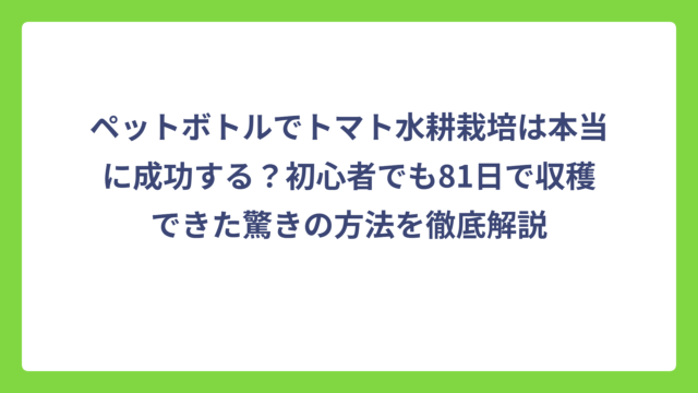 ペットボトルでトマト水耕栽培は本当に成功する？初心者でも81日で収穫できた驚きの方法を徹底解説