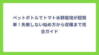 ペットボトルでトマト水耕栽培が超簡単！失敗しない始め方から収穫まで完全ガイド