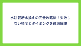 水耕栽培水換えの完全攻略法！失敗しない頻度とタイミングを徹底解説
