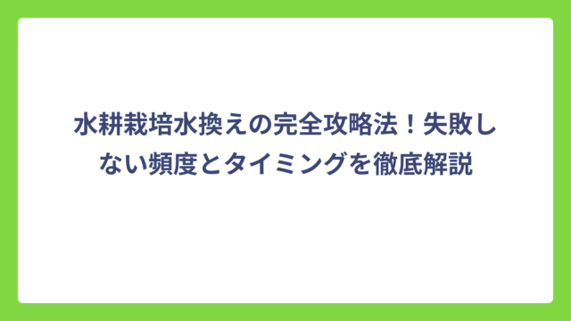 水耕栽培水換えの完全攻略法！失敗しない頻度とタイミングを徹底解説