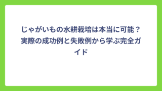 じゃがいもの水耕栽培は本当に可能？実際の成功例と失敗例から学ぶ完全ガイド