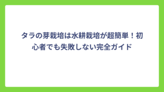タラの芽栽培は水耕栽培が超簡単！初心者でも失敗しない完全ガイド
