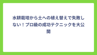 水耕栽培から土への植え替えで失敗しない！プロ級の成功テクニックを大公開