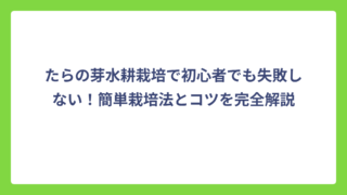 たらの芽水耕栽培で初心者でも失敗しない！簡単栽培法とコツを完全解説
