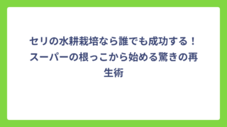 セリの水耕栽培なら誰でも成功する！スーパーの根っこから始める驚きの再生術