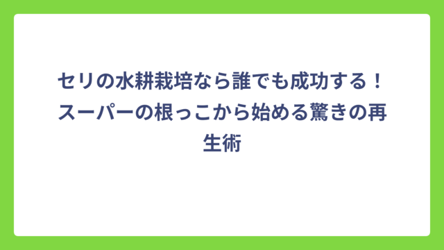 セリの水耕栽培なら誰でも成功する！スーパーの根っこから始める驚きの再生術