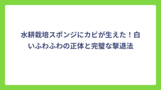 水耕栽培スポンジにカビが生えた！白いふわふわの正体と完璧な撃退法