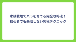 水耕栽培でバラを育てる完全攻略法！初心者でも失敗しない究極テクニック
