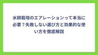水耕栽培のエアレーションって本当に必要？失敗しない選び方と効果的な使い方を徹底解説
