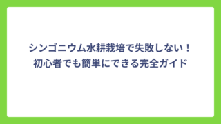シンゴニウム水耕栽培で失敗しない！初心者でも簡単にできる完全ガイド