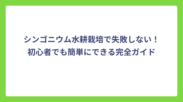 シンゴニウム水耕栽培で失敗しない！初心者でも簡単にできる完全ガイド