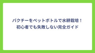 パクチーをペットボトルで水耕栽培！初心者でも失敗しない完全ガイド