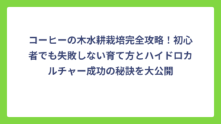 コーヒーの木水耕栽培完全攻略！初心者でも失敗しない育て方とハイドロカルチャー成功の秘訣を大公開