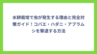水耕栽培で虫が発生する理由と完全対策ガイド！コバエ・ハダニ・アブラムシを撃退する方法