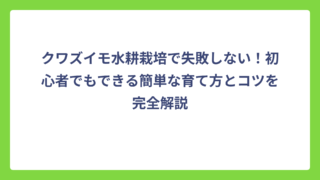 クワズイモ水耕栽培で失敗しない！初心者でもできる簡単な育て方とコツを完全解説