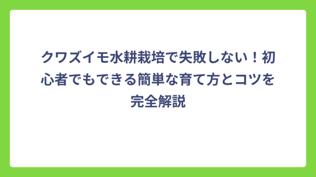 クワズイモ水耕栽培で失敗しない！初心者でもできる簡単な育て方とコツを完全解説