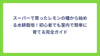スーパーで買ったレモンの種から始める水耕栽培！初心者でも室内で簡単に育てる完全ガイド