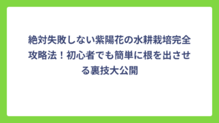 絶対失敗しない紫陽花の水耕栽培完全攻略法！初心者でも簡単に根を出させる裏技大公開