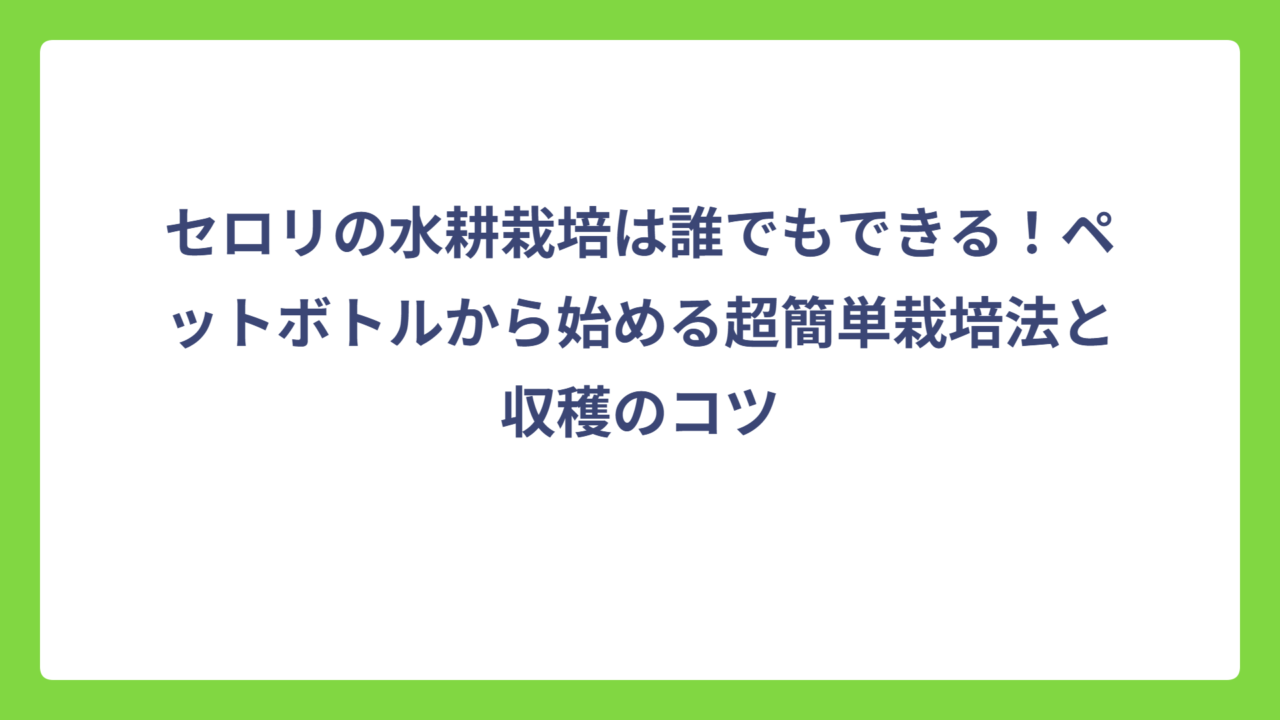 セロリの水耕栽培は誰でもできる！ペットボトルから始める超簡単栽培法と収穫のコツ
