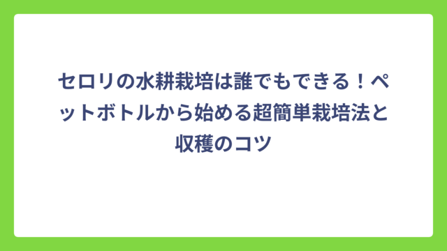 セロリの水耕栽培は誰でもできる！ペットボトルから始める超簡単栽培法と収穫のコツ