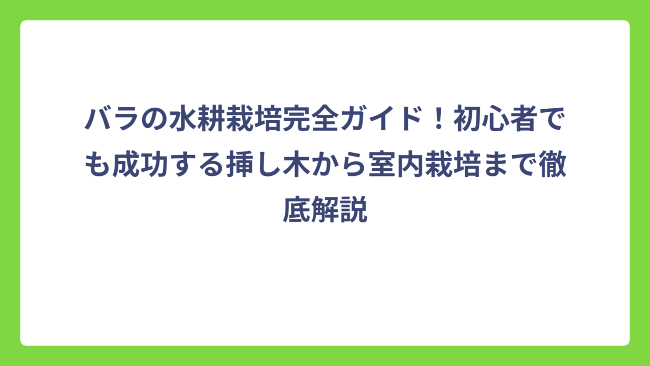 バラの水耕栽培完全ガイド！初心者でも成功する挿し木から室内栽培まで徹底解説
