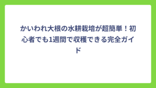 かいわれ大根の水耕栽培が超簡単！初心者でも1週間で収穫できる完全ガイド