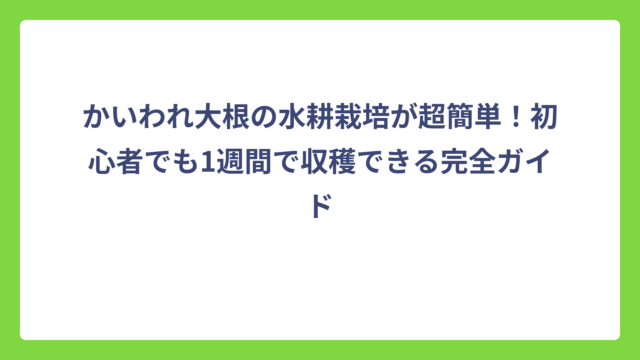 かいわれ大根の水耕栽培が超簡単！初心者でも1週間で収穫できる完全ガイド