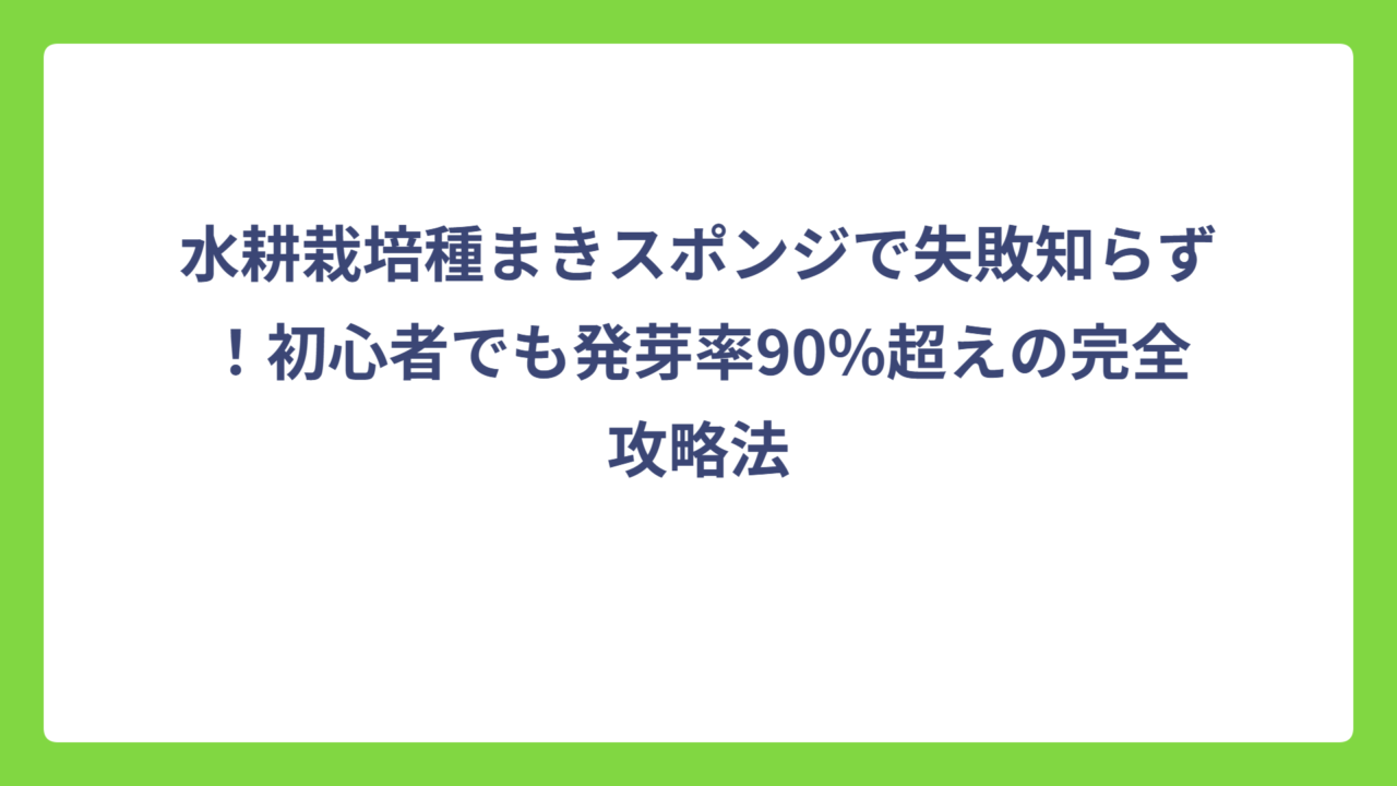 水耕栽培種まきスポンジで失敗知らず！初心者でも発芽率90%超えの完全攻略法