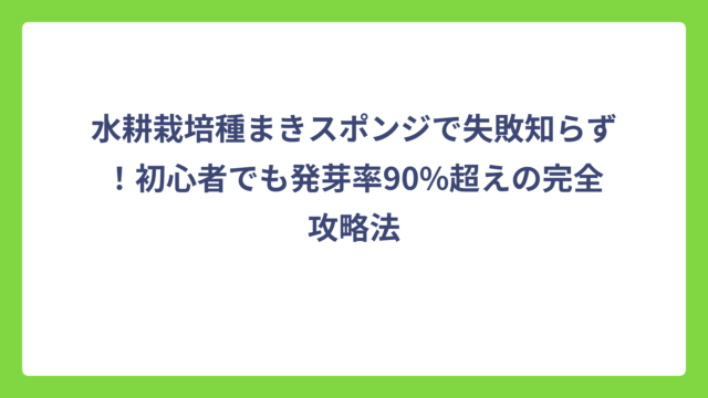 水耕栽培種まきスポンジで失敗知らず！初心者でも発芽率90%超えの完全攻略法