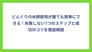 どんぐりの水耕栽培が誰でも簡単にできる！失敗しない7つのステップと成功のコツを徹底解説