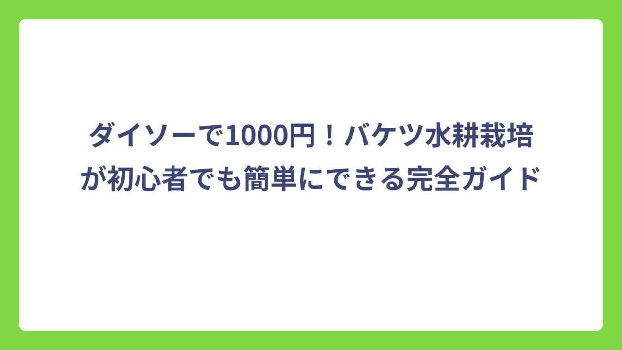 ダイソーで1000円！バケツ水耕栽培が初心者でも簡単にできる完全ガイド