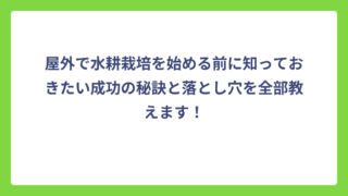 屋外で水耕栽培を始める前に知っておきたい成功の秘訣と落とし穴を全部教えます！