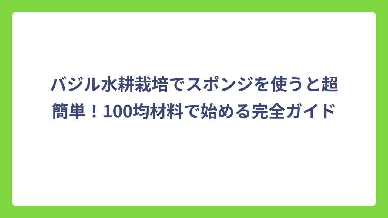 バジル水耕栽培でスポンジを使うと超簡単！100均材料で始める完全ガイド