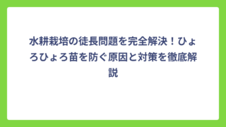 水耕栽培の徒長問題を完全解決！ひょろひょろ苗を防ぐ原因と対策を徹底解説