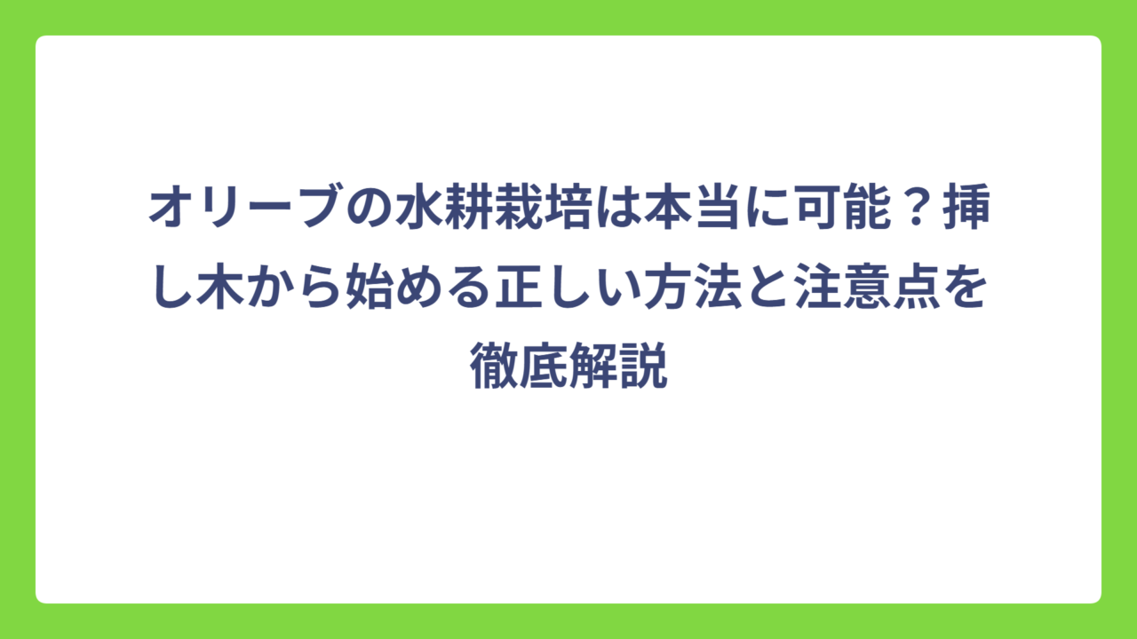 オリーブの水耕栽培は本当に可能？挿し木から始める正しい方法と注意点を徹底解説