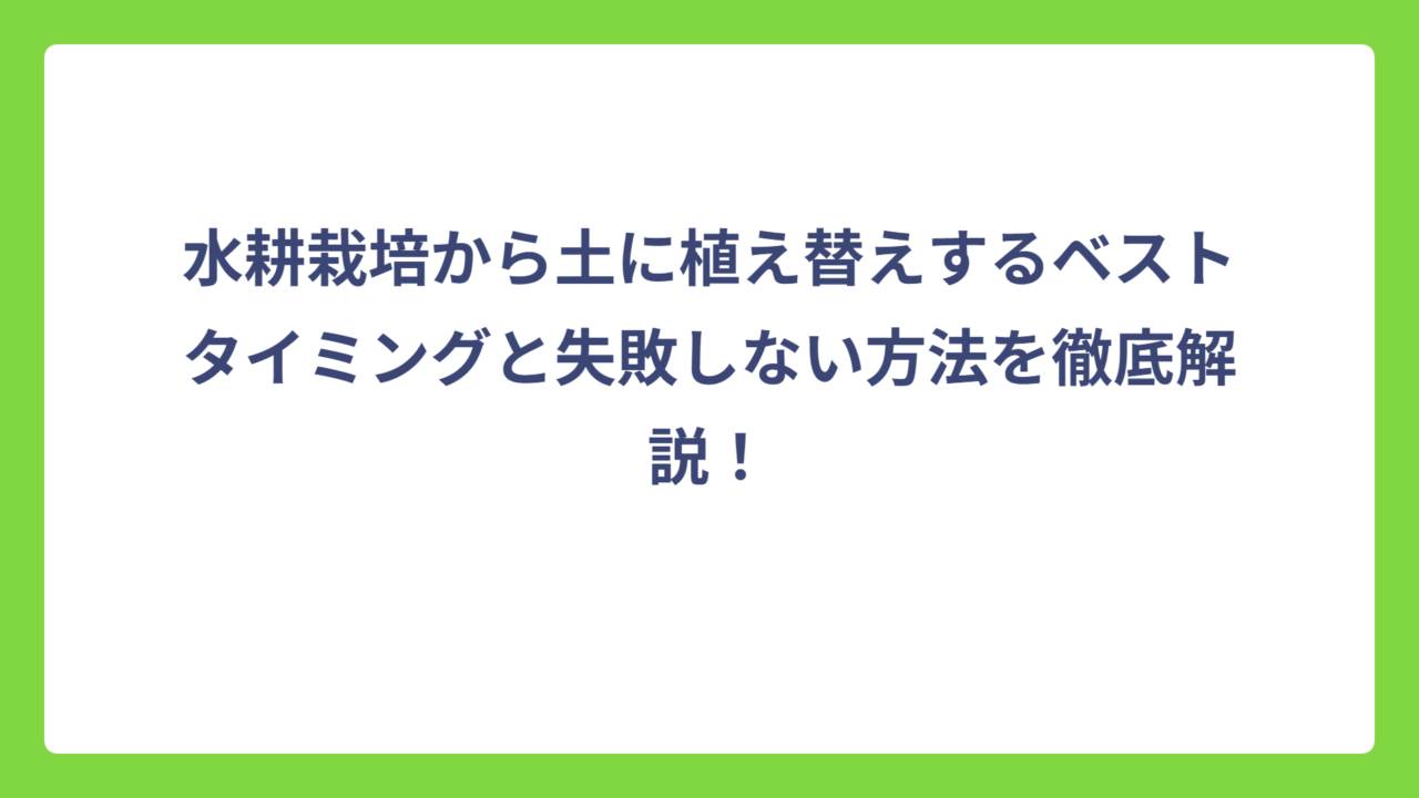 水耕栽培から土に植え替えするベストタイミングと失敗しない方法を徹底解説！