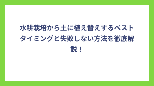 水耕栽培から土に植え替えするベストタイミングと失敗しない方法を徹底解説！
