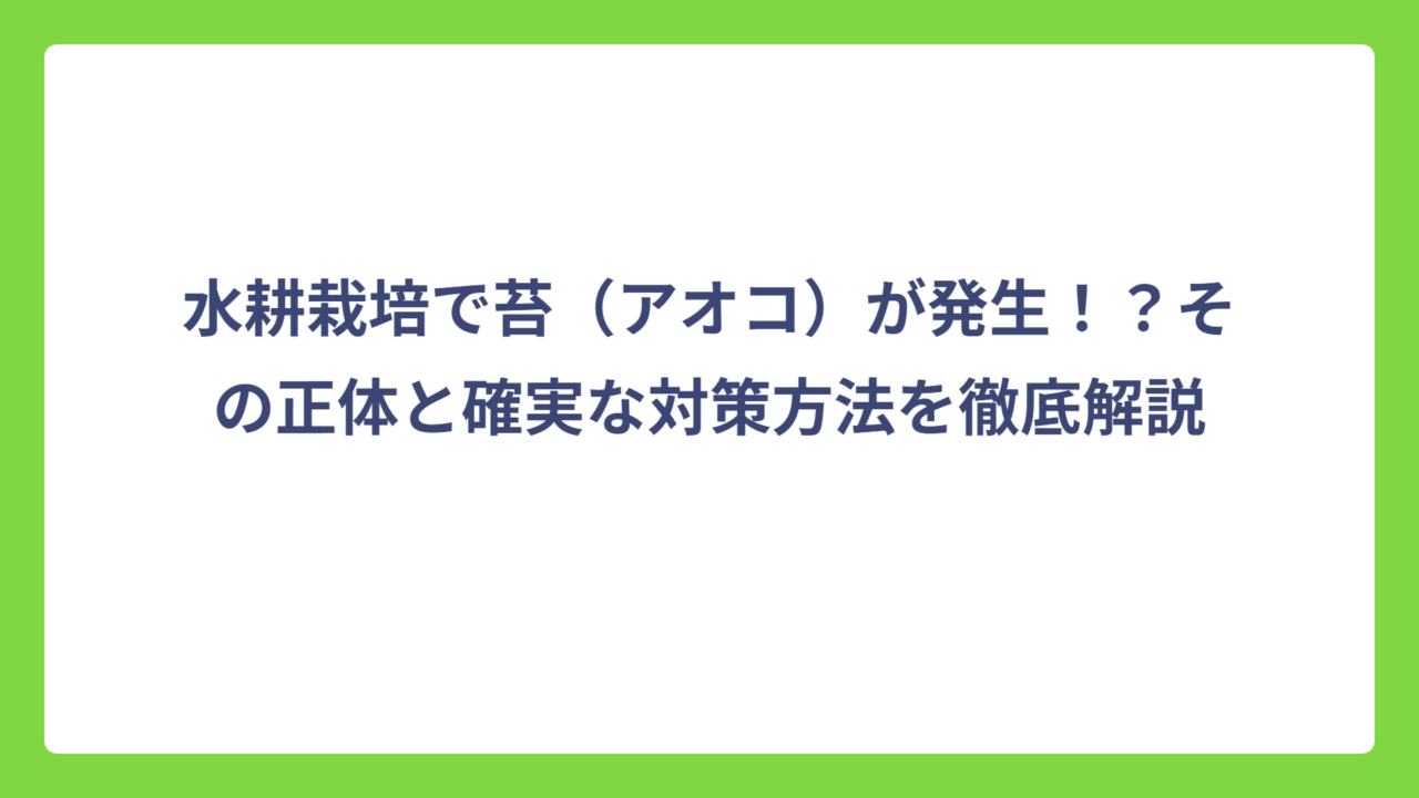 水耕栽培で苔（アオコ）が発生！？その正体と確実な対策方法を徹底解説