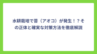 水耕栽培で苔（アオコ）が発生！？その正体と確実な対策方法を徹底解説